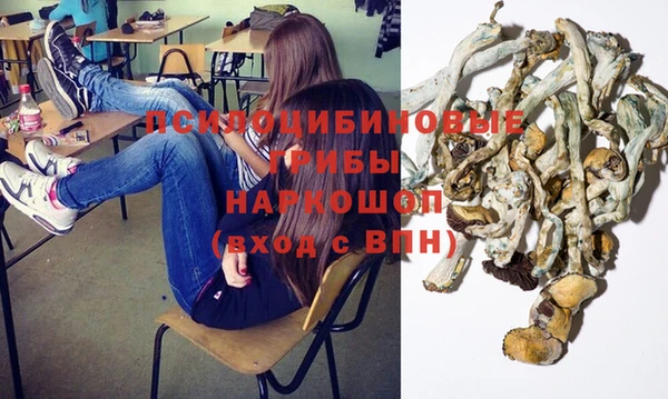 стаф Горно-Алтайск