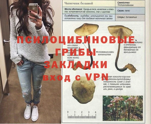 стаф Горно-Алтайск