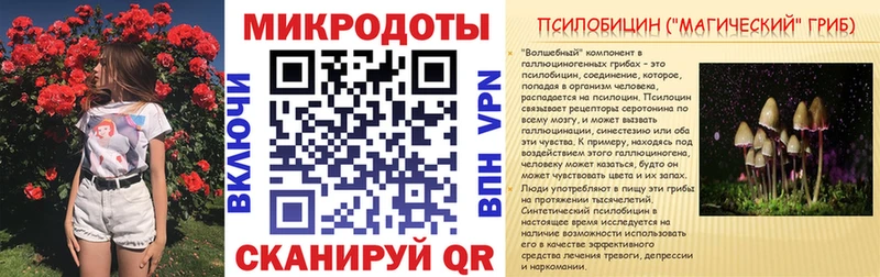 Галлюциногенные грибы Psilocybine cubensis  наркота  Пласт 